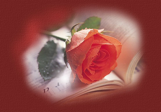 rosebooktop[1].jpg